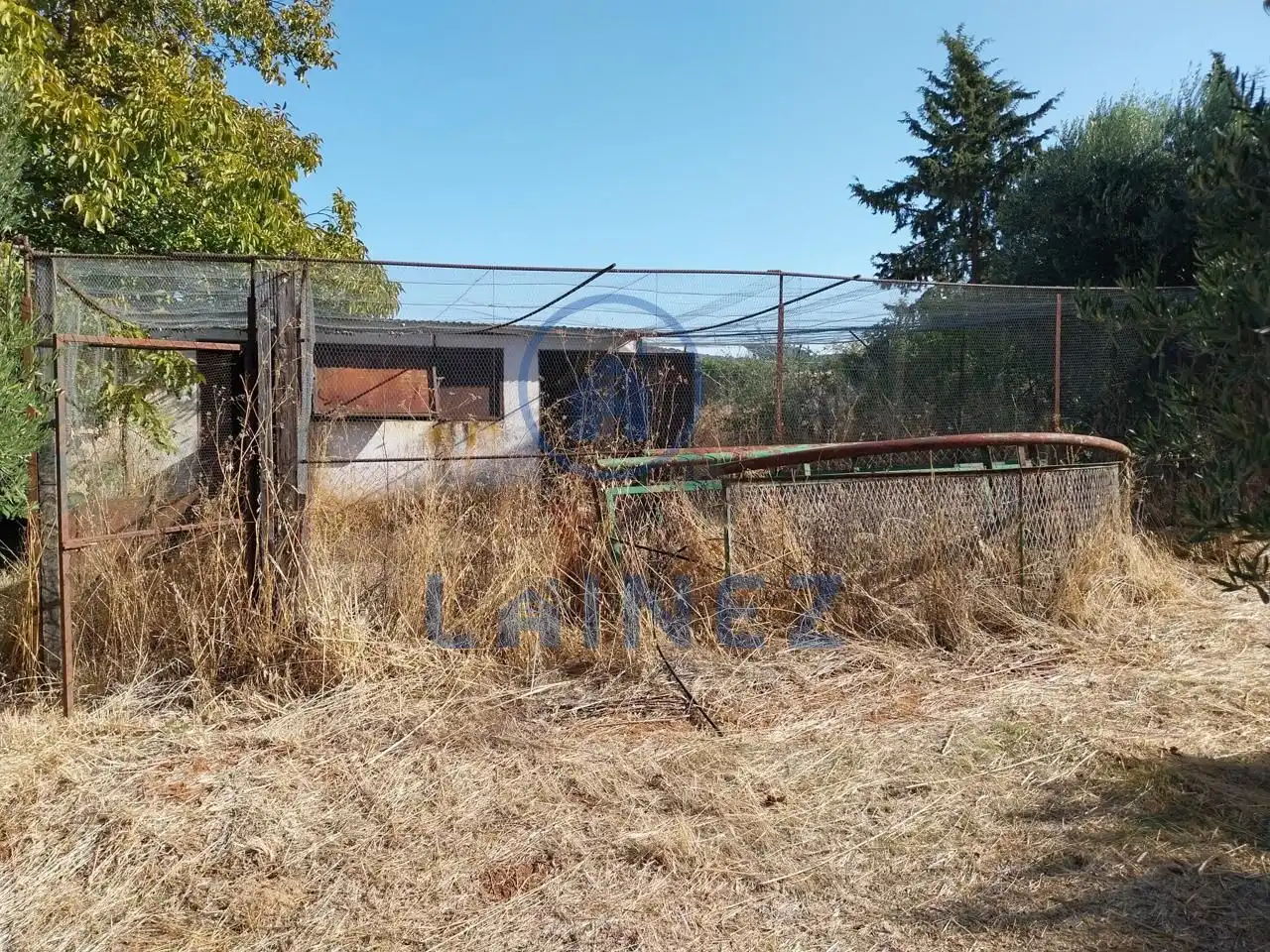 Terreny rústic en venda a Hinojosa del Duque, imagen 41
