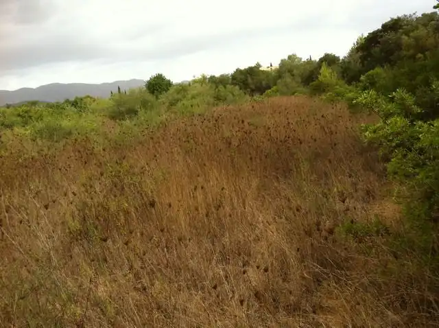 Terreno rustico in vendita a Pollença Poble, imagen 9