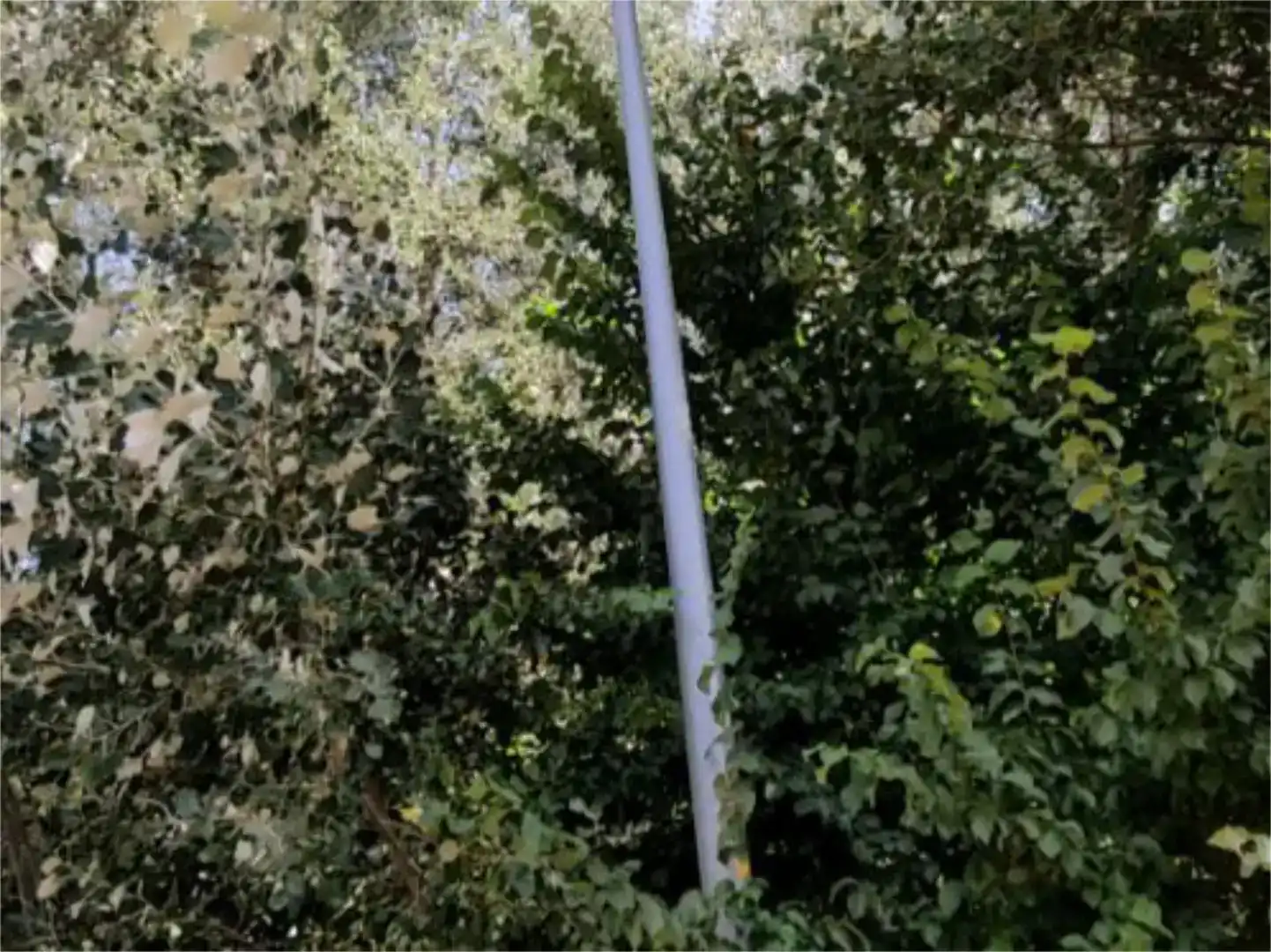 Außenansicht von Grundstücke zum Verkauf in Valdevimbre, León