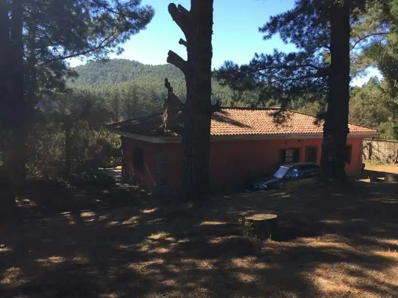 Vista exterior de Finca rústica en venta en El Sauzal con Calefacción, Jardín privado y Terraza