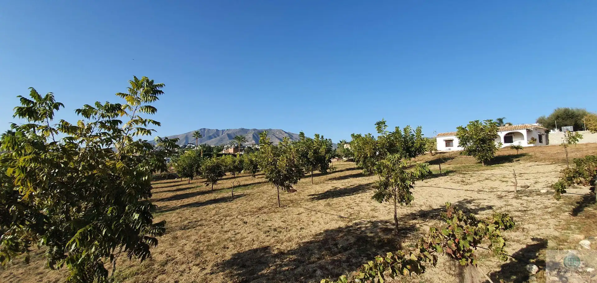 Casa rústica en venda a Campo de Mijas, imagen 38