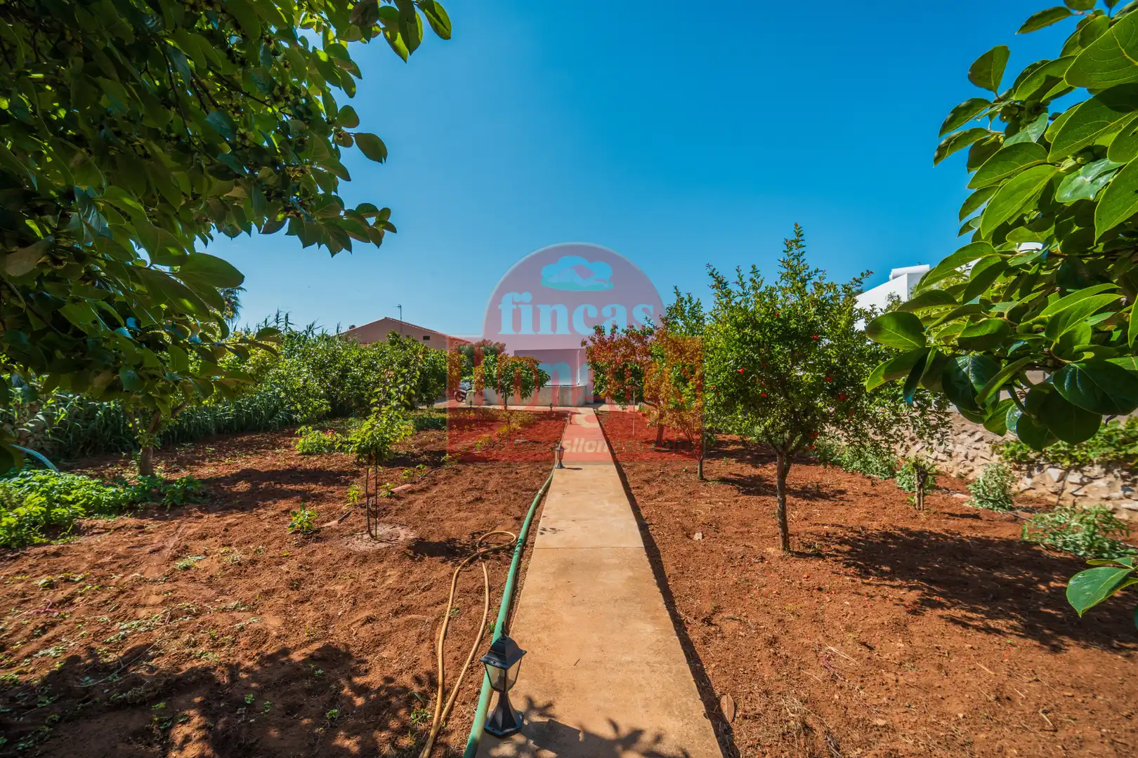 Villa mit Garten zum Verkauf in Cala Blanca, imagen 21