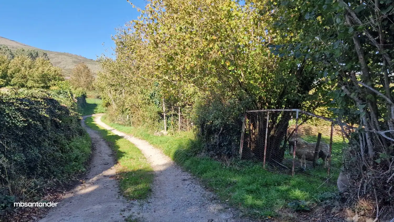 Vista exterior de Finca rústica en venta en Molledo