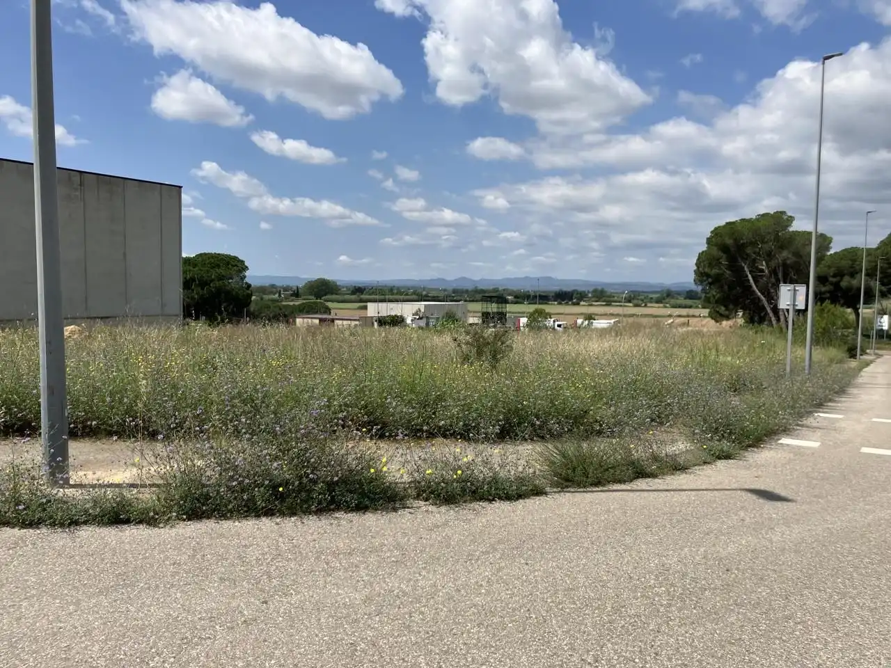 Terreny industrial en venda a Esganyadora, Riells
