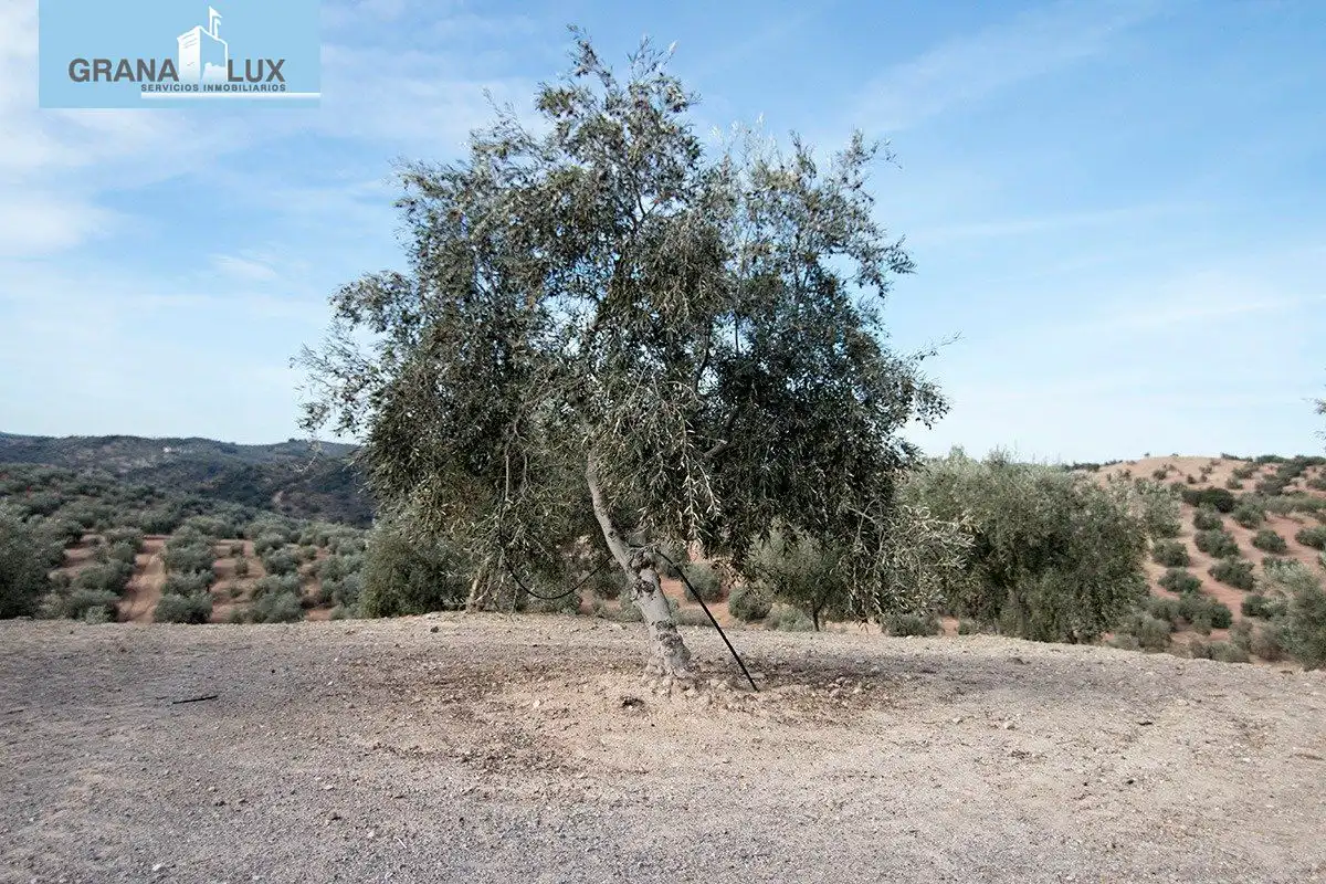 Country homes for sale in Loja