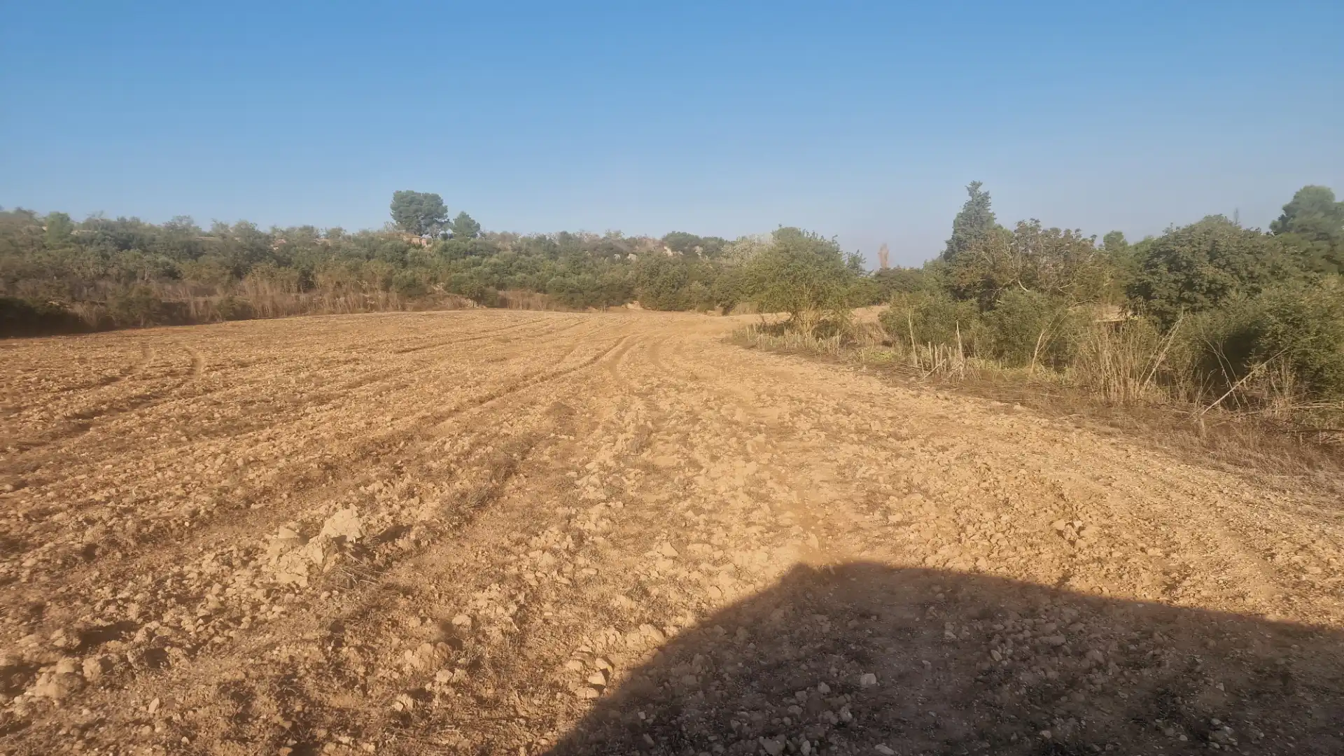 Rural land for sale in Arbeca, imagen 15