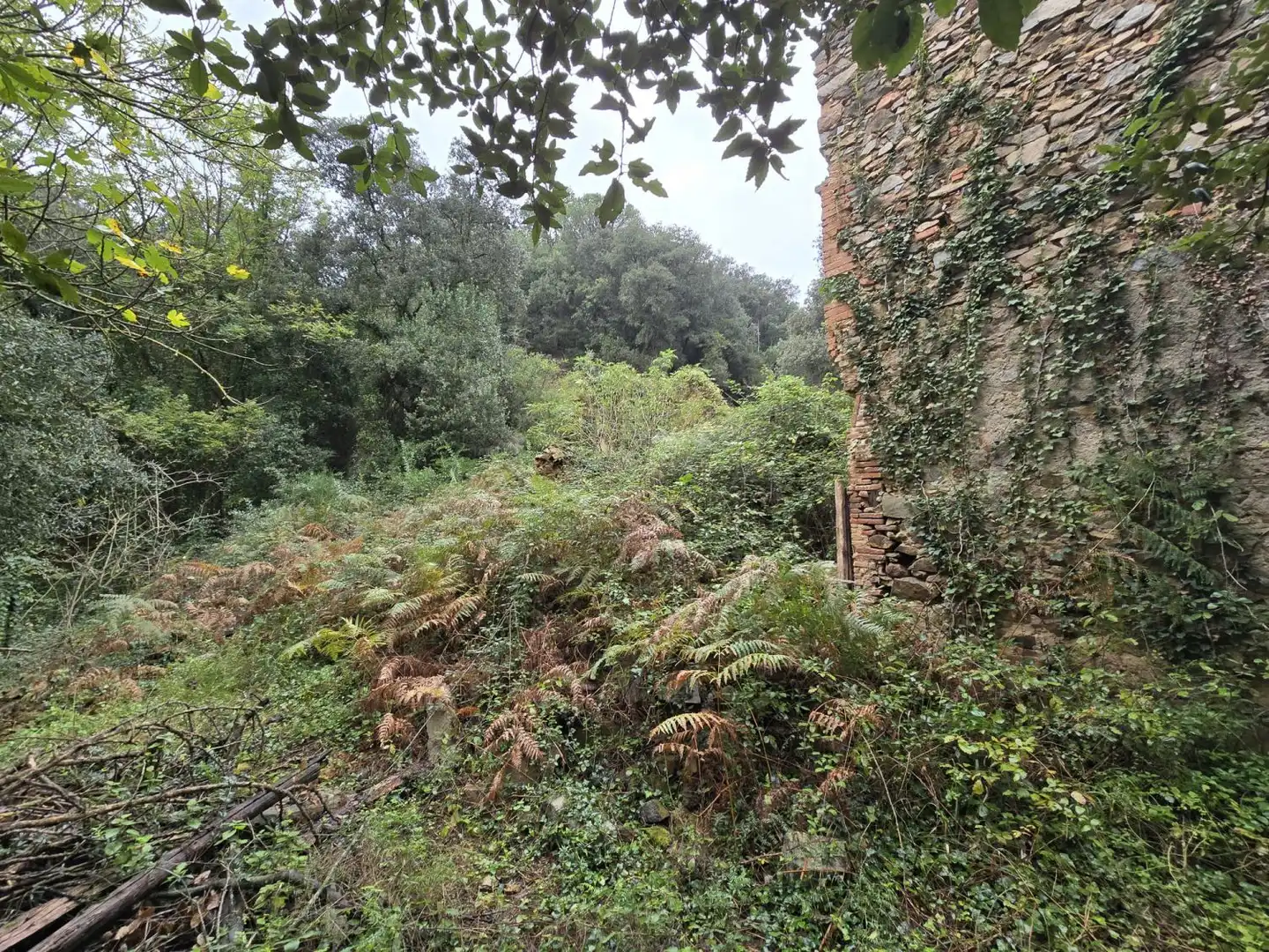 Maison à vendre à Susqueda, imagen 23