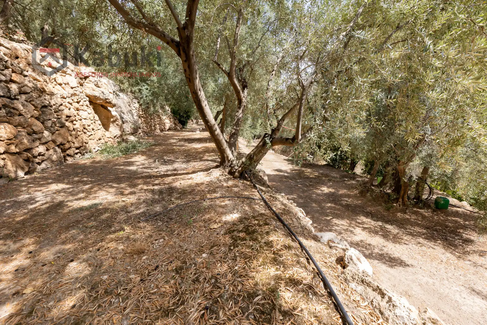 Terreno rustico in vendita a Pinar El - Pantano de Beznar, imagen 9