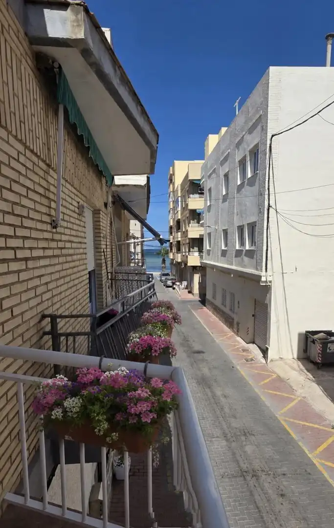 Apartments for rent in Centro
