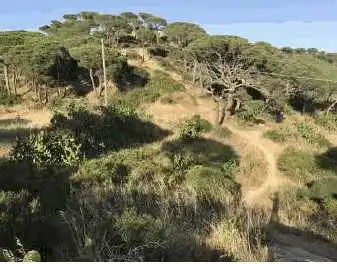 Terreny rústic en venda a Paraje Vilartagas, imagen 8