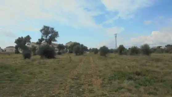 Terreny rústic en venda a Plaça Poligono 22 54