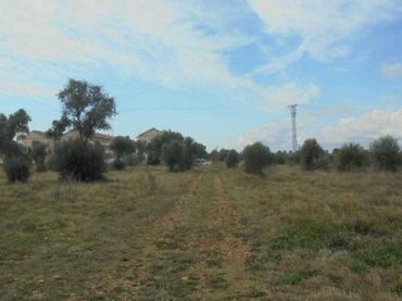 Terreno rustico in vendita a Plaça Poligono 22 54