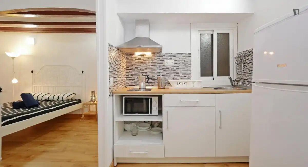Wohnung zur Miete in El Raval