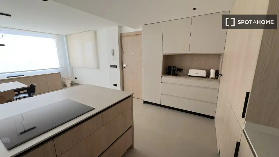 Küche von Wohnungen zur untervermieten in Alicante / Alacant mit Klimaanlage, Terrasse und Möbliert
