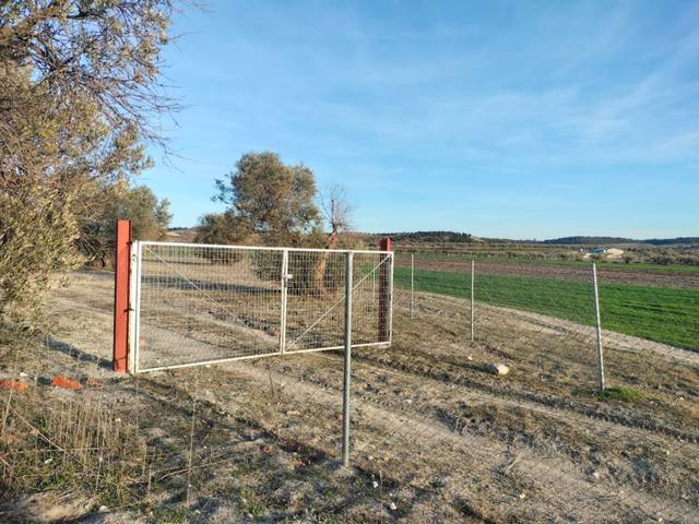 Terreno residencial en Venta en Torrejón de Velasco