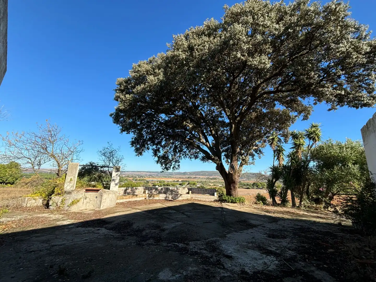 Terreny en venda en Arcos de la Frontera