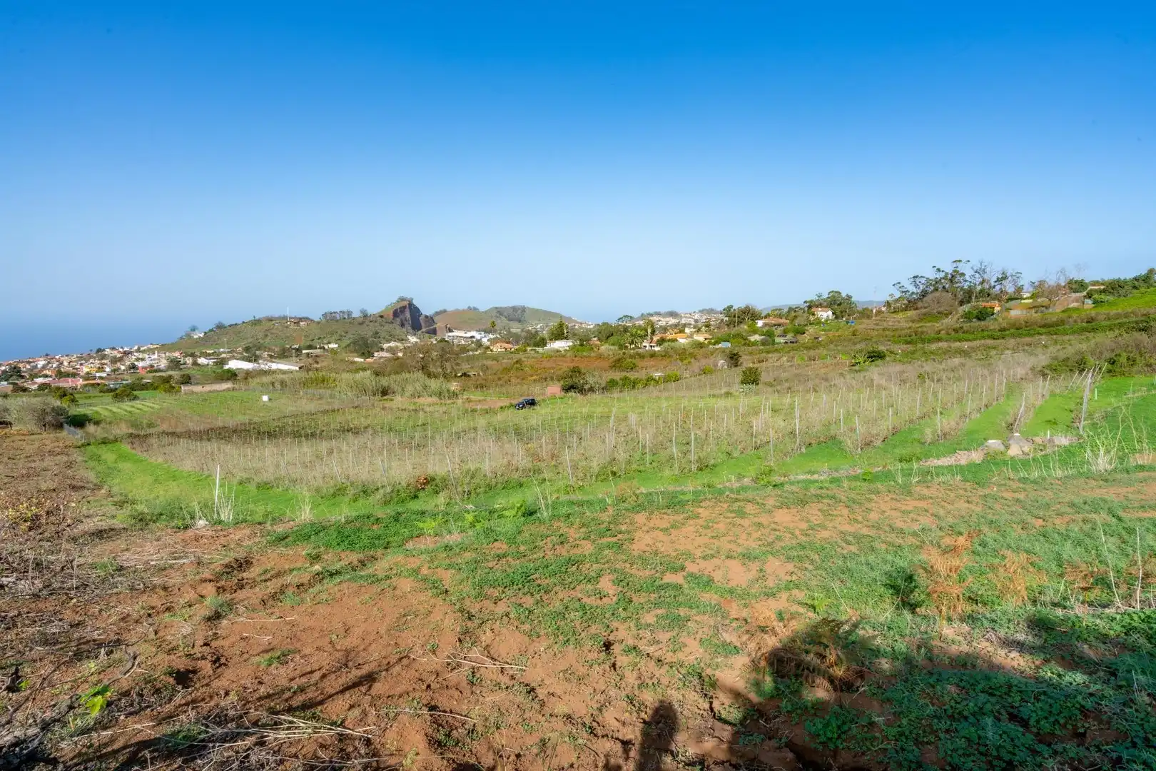 Land for sale in Tacoronte