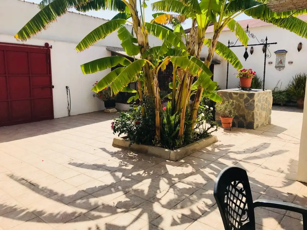Villa mit Terrasse zum Verkauf in Pedanías Oeste, imagen 20