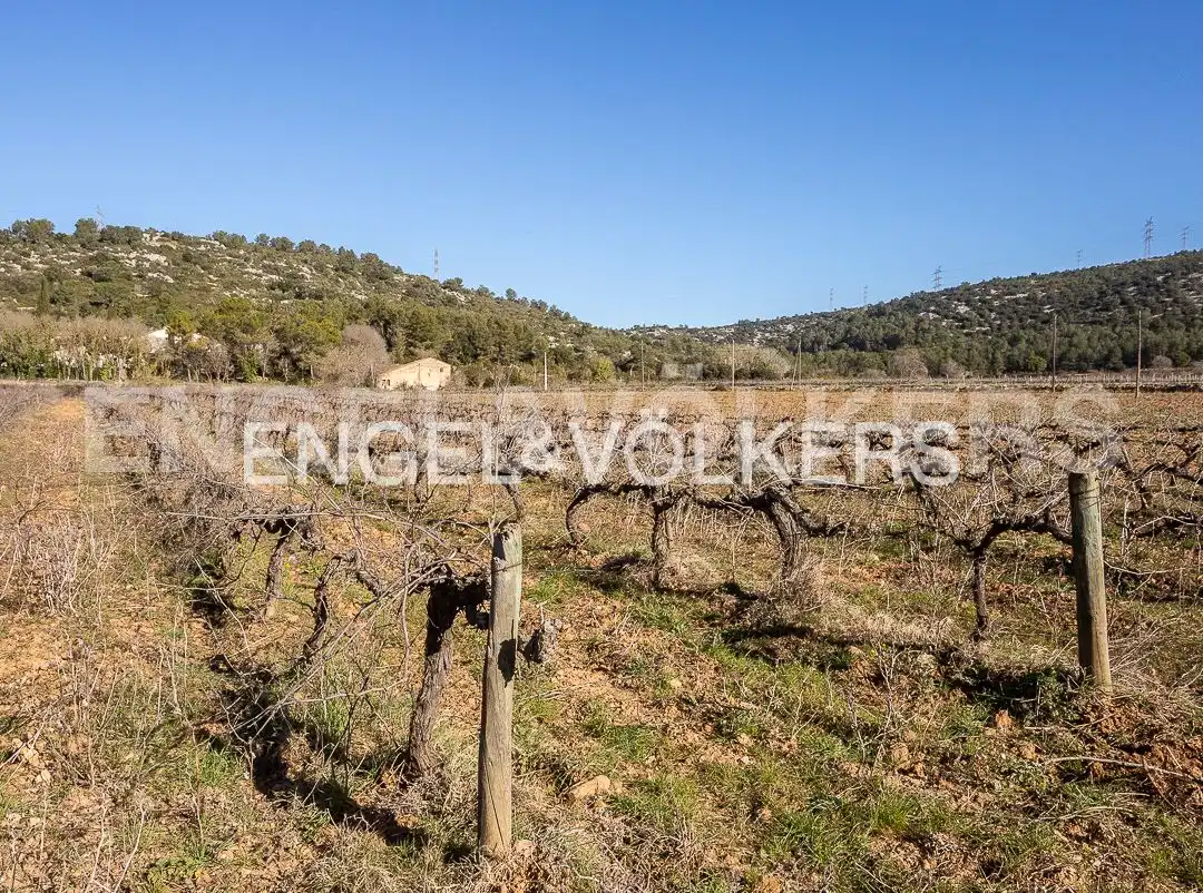 Terreny residencial en venda a Begues, imagen 15