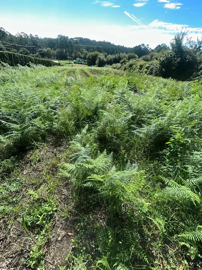 Casa o xalet en venda en Ribeira amb Jardí privat