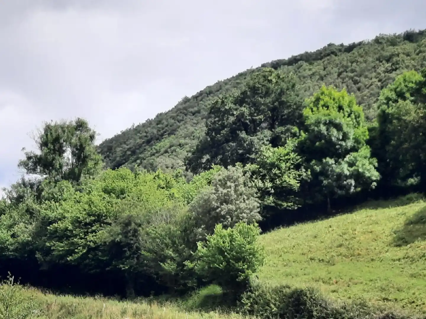 Rural land for sale in Ampuero, imagen 5