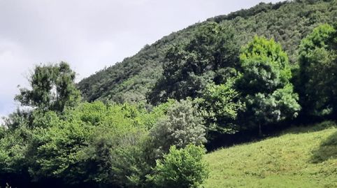 TERRENO EN SOLAMAZA  AMPUERO. FR. 7012, immagine 5