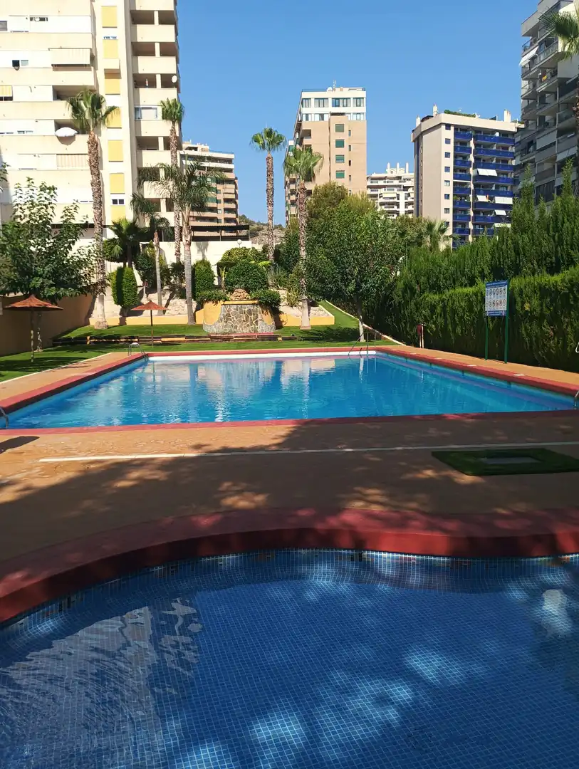 Swimming pool of Apartments for sale in Benidorm  with Air Conditioner, Heating and Private garden
