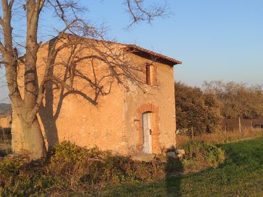 Rural land for sale in Carretera Maso la a Vallmoll 1
