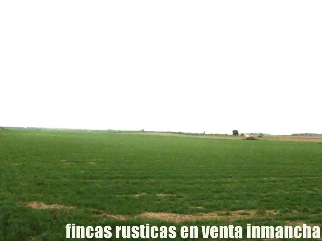 Terreno rústico en venta en Daimiel, imagen 3