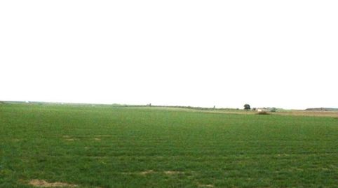 finca en venta 9 has. labor regadío en Daimiel (C.Real), immagine 3