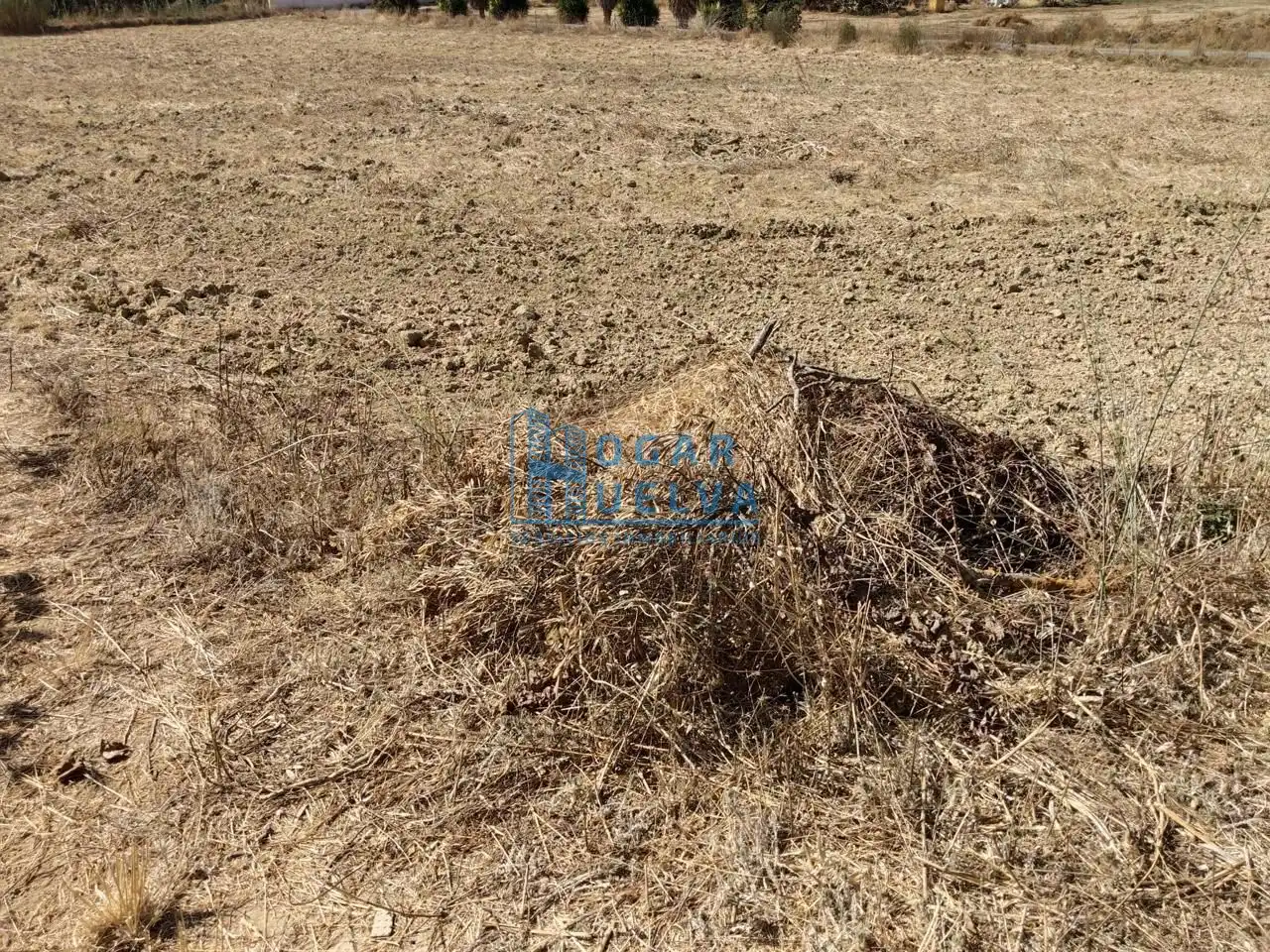 Terrenos y solares en venta en dehesa Aljaraque, imagen 3