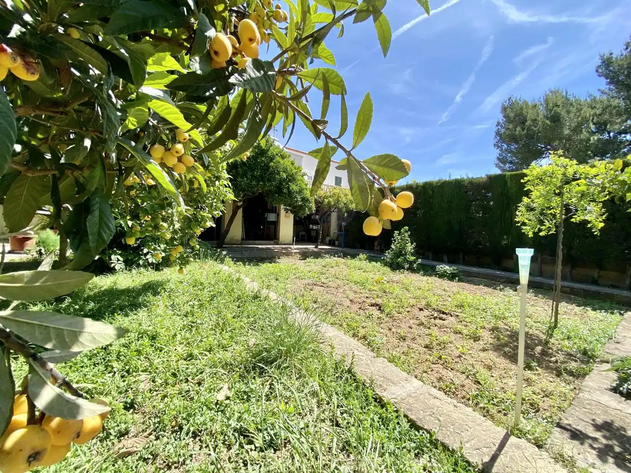 Garten von Haus oder Chalet zum Verkauf in  Palma de Mallorca mit Privatgarten, Terrasse und Abstellraum