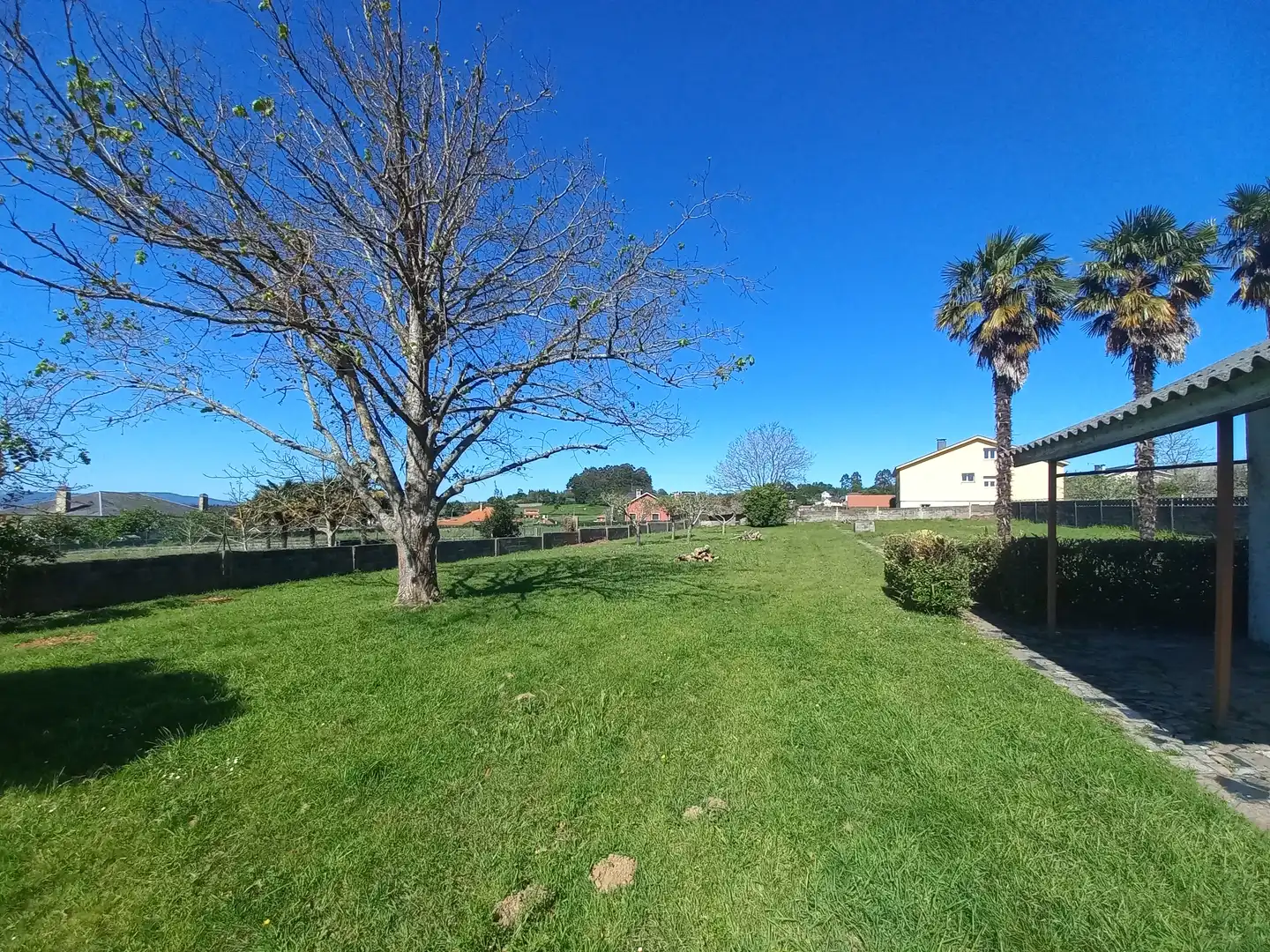 Casa o chalet en venta en Bergondo con Jardín privado