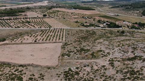 Foto 2 von Grundstücke zum Verkauf in Cañada, Alicante