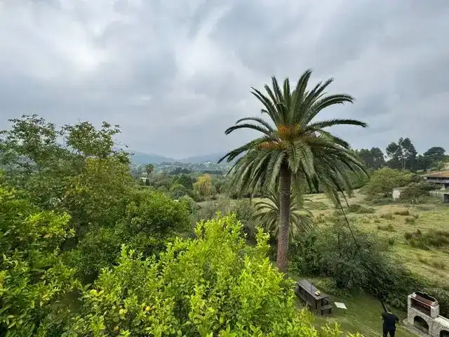 Jardí de Casa o xalet en venda en Villaviciosa amb Balcó