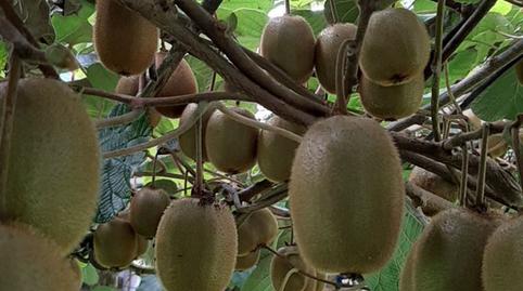 Photo 3 of Residential for sale in N/a, Cudillero, Asturias