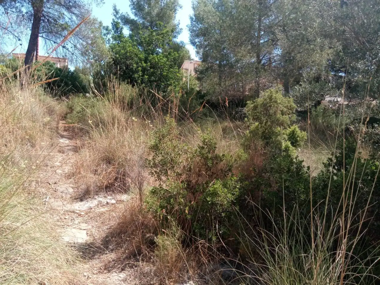 Wohnbaugrundstück zum Verkauf in Calle catorce 358, imagen 10