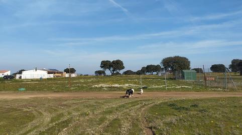 Photo 4 of Land for sale in Ruta de la Plata, Cáceres