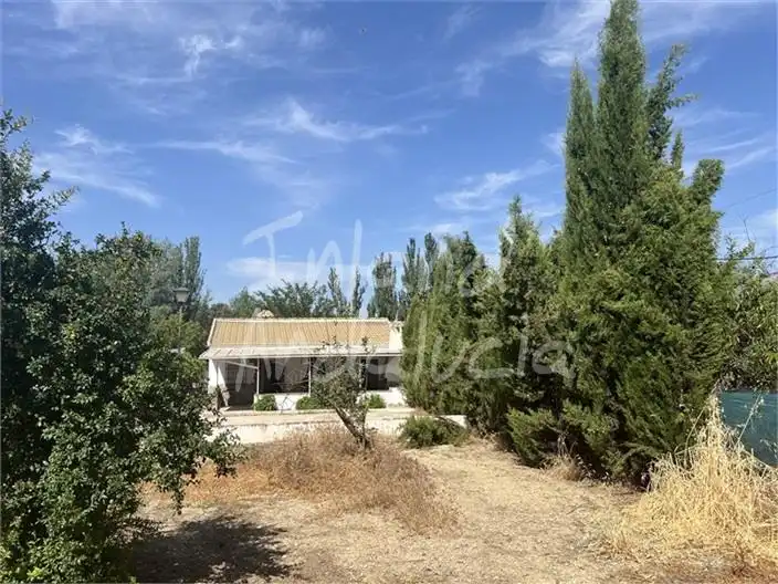 Chalet en venta en Priego de Córdoba, imagen 16