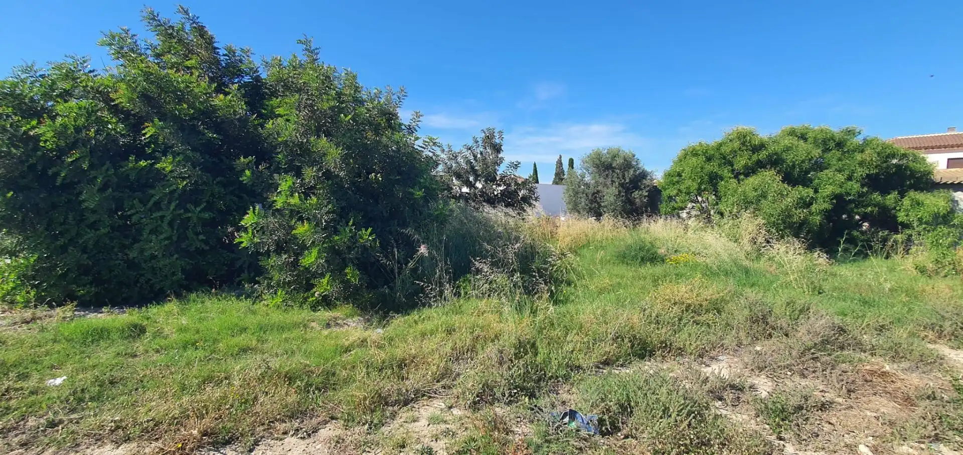 Terrenys i solars en venda a Cantoria, imagen 4