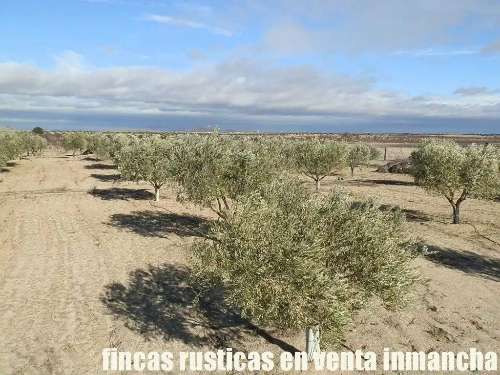 Terreno en venta en Mora