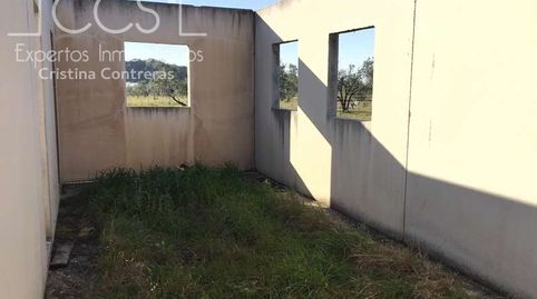 Foto 3 de Finca rústica en venta en Almonte ciudad, Almonte