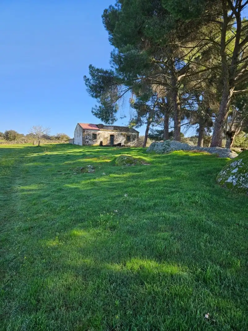 Terreni e lotti in vendita a Aldea del Cano, imagen 3