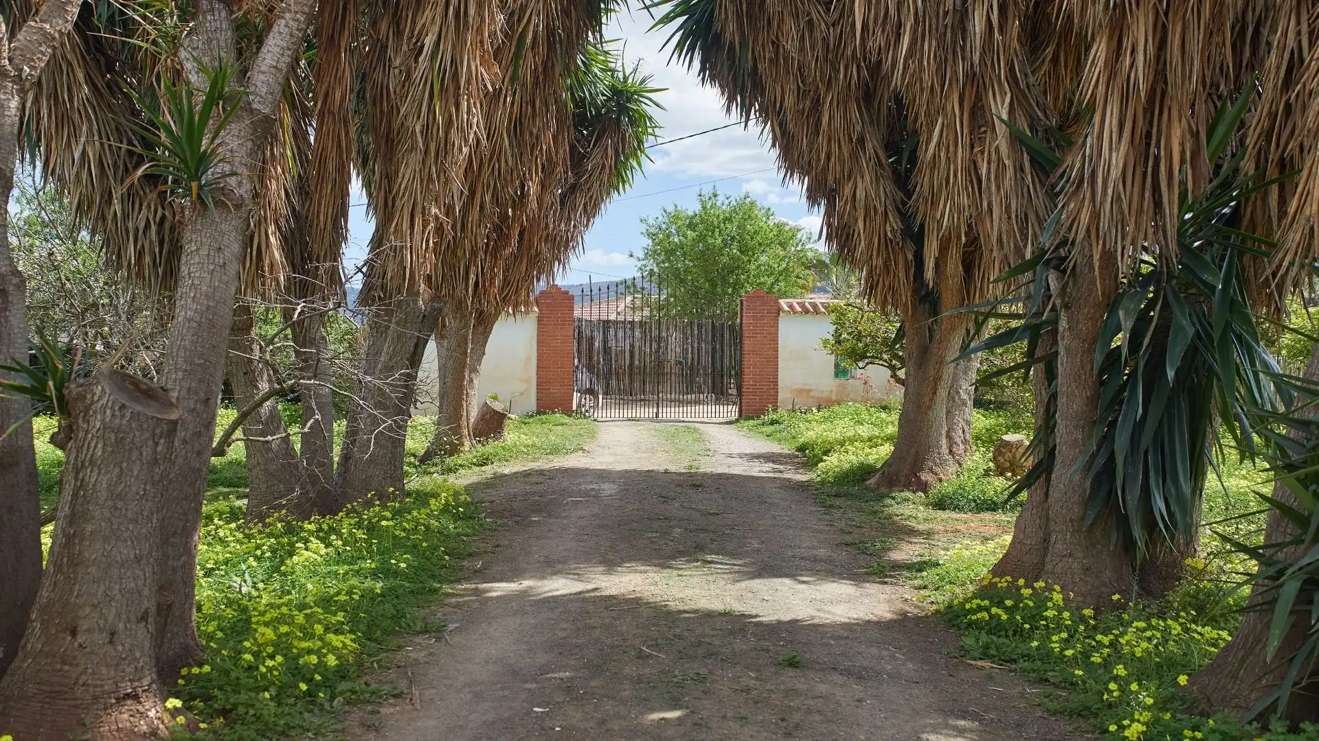 Vista exterior de Finca rústica en venta en Alhaurín El Grande con Piscina