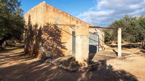 Finca rústica con casa de aperos, pozo propio y balsa de agua, immagine 4