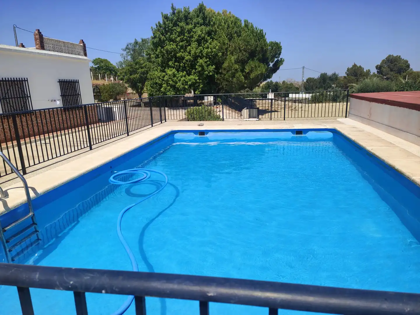 Swimming pool of Houses for sale in Aspe  with Private garden, Terrace and Swimming Pool