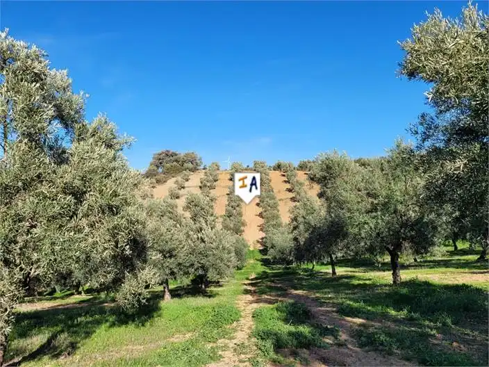 Country homes for sale in Osuna