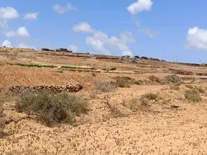 Land for sale in Puerto del Rosario