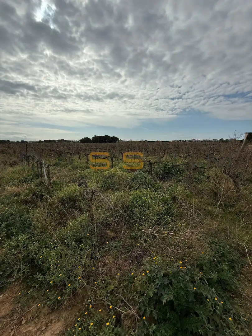 Rural land for sale in Sant Salvador, imagen 30