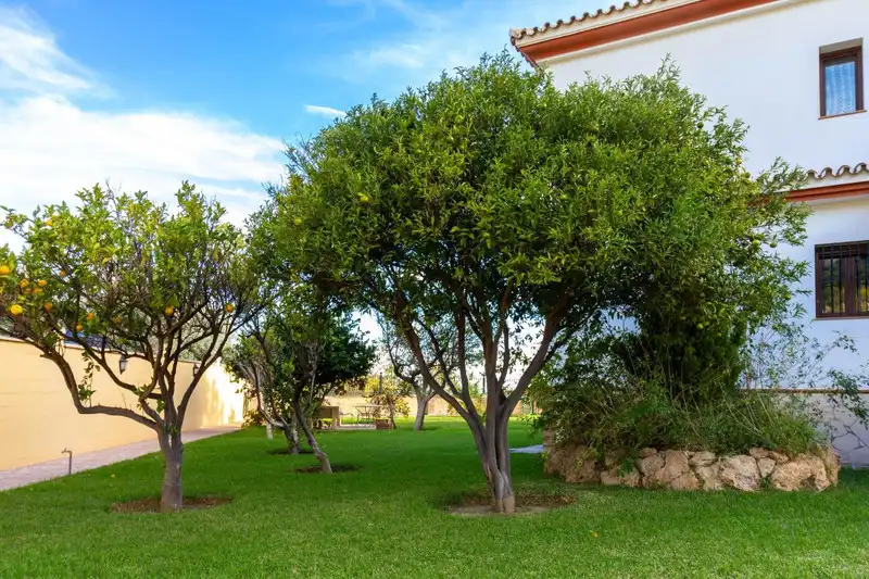 Xalet amb terrassa en venda a Mijas pueblo, imagen 27